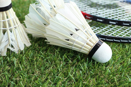 规则条款 规则条款