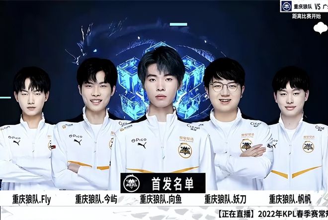 皮肤的兼容